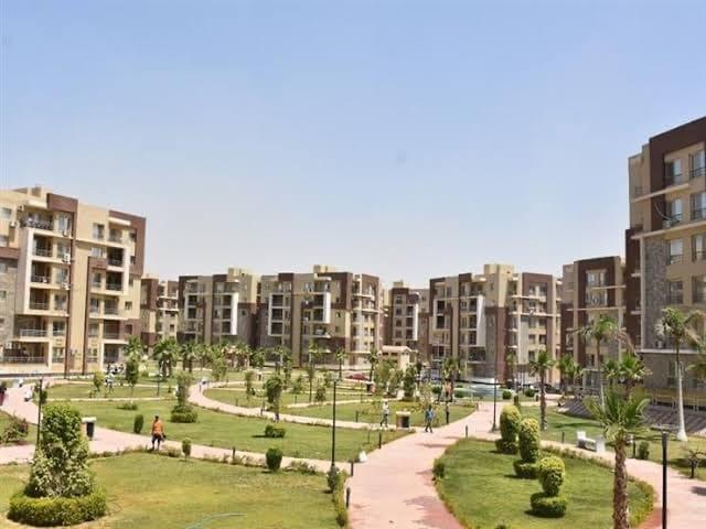 دنيا المال