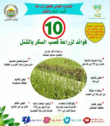 دنيا المال