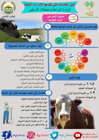 دنيا المال