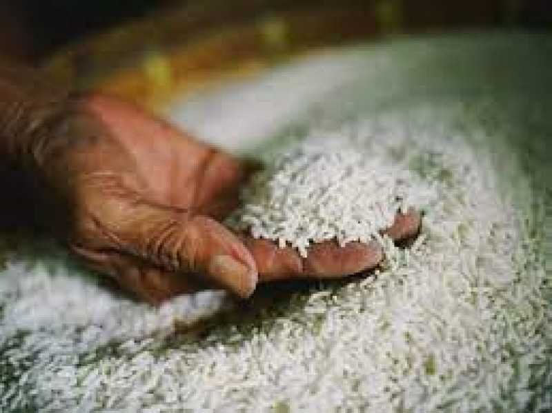 المنوفي: « تحديد سعر الأرز »ضربة قوية في وجه المحتك