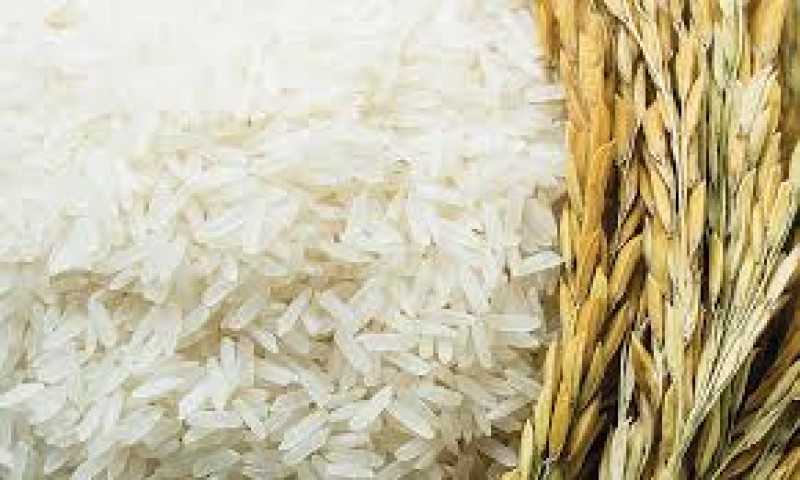 مديريات التموين... ضبط كميات كبيرة من الأرز الشعير ‏بالدقهلية ودمياط وكفر الشيخ والشرقية.