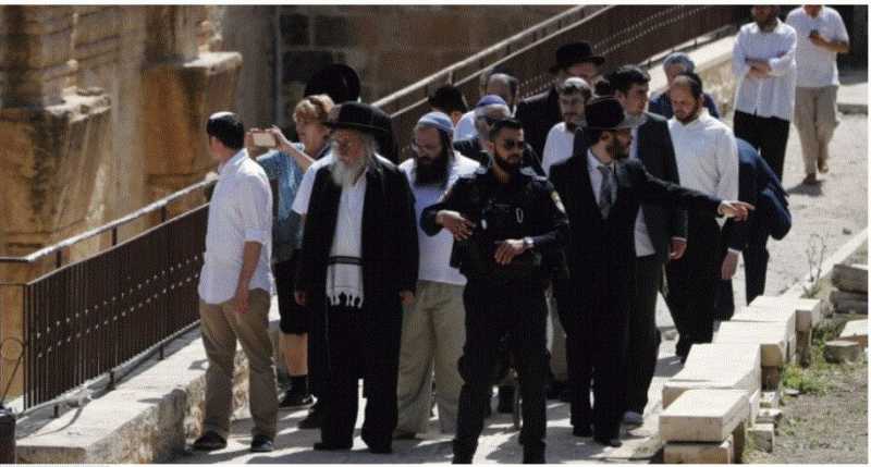منظمة «عائدون إلى جبل الهيكل» الإرهابية تخطط لذبح قربان الفصح «بالمسجد الأقصى»