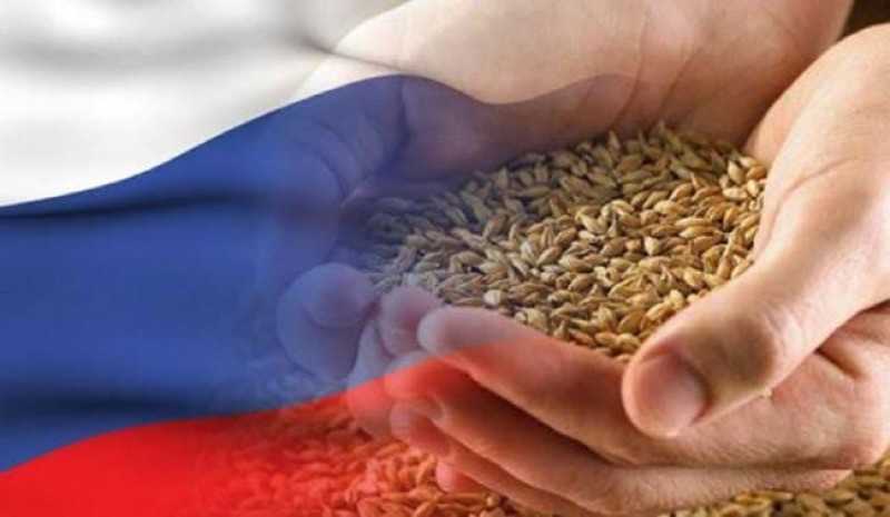 اتحاد الحبوب الروسي .. صدرنا 5.9 مليون طن للحبوب لمصر  خلال 6 أشهر