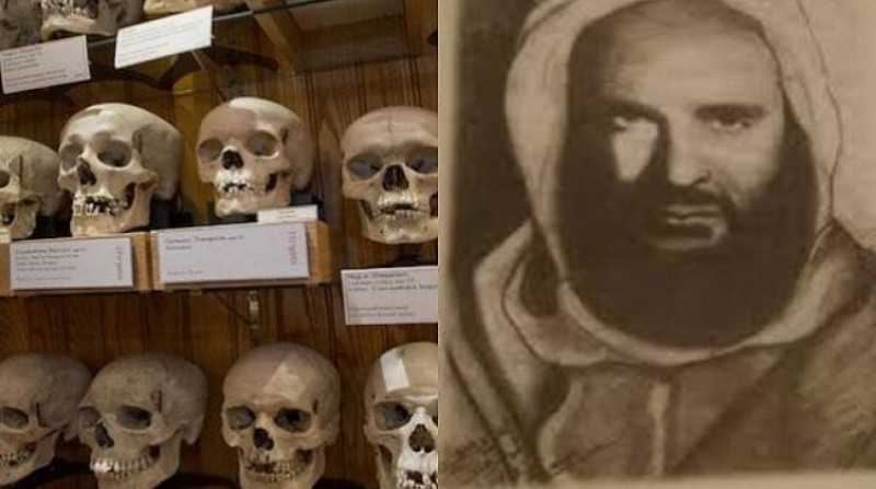 المصري صاحب الجمجمة رقم 5942 .. بقلم أحمد بوداود