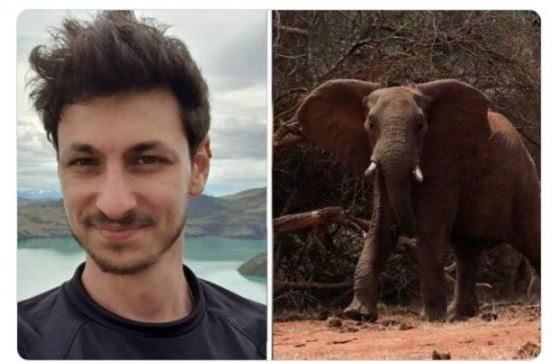 «فيل» يرفض التطبيع ؟! يقتل إسرائيلي أراد التقاط صوره معه في نيبال