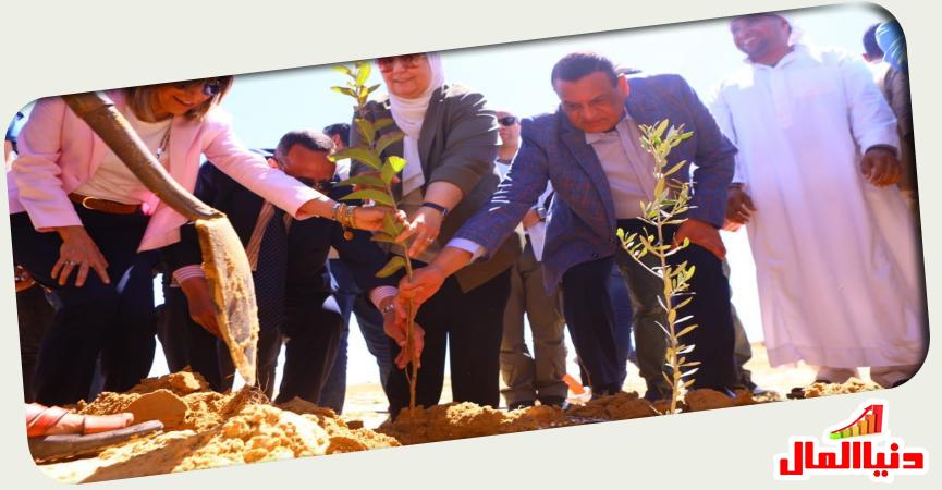 وزيرة التضامن الاجتماعي 