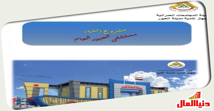 ماكيت مستشفى العبور