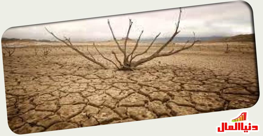 الأمم المتحدة تحذر من الجفاف  