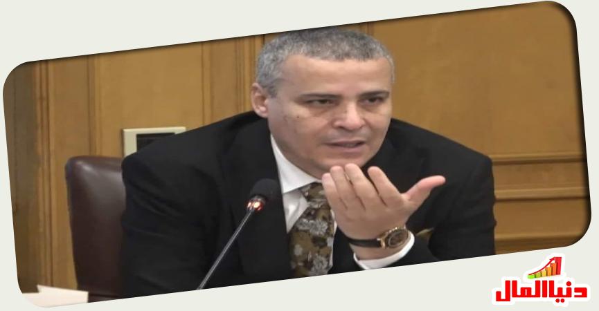 عماد قناوي رئيس شعبة المستوردين بغرفة القاهرة 