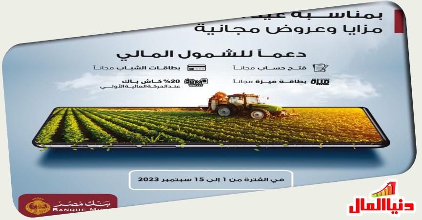 دنيا المال