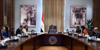الدولة مستعدة لتقديم حزمة محفزات بشرط سرعة توطين هذه الصناعة وتشغيل مصانع السيارات المطلوبة