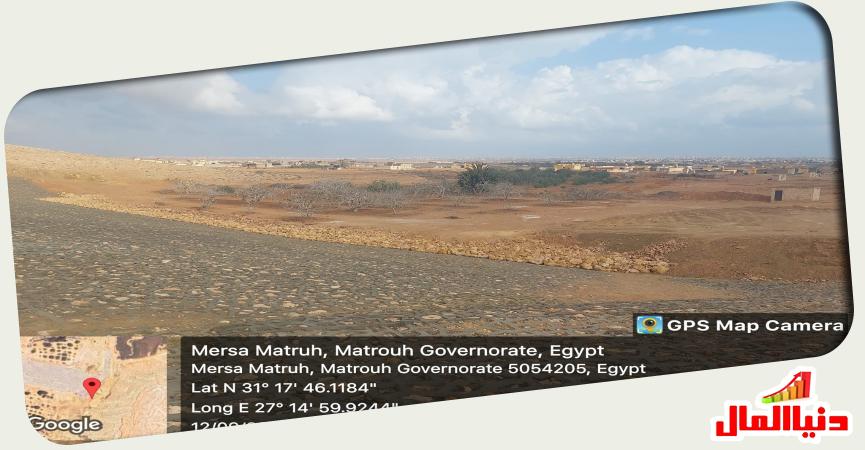 دنيا المال