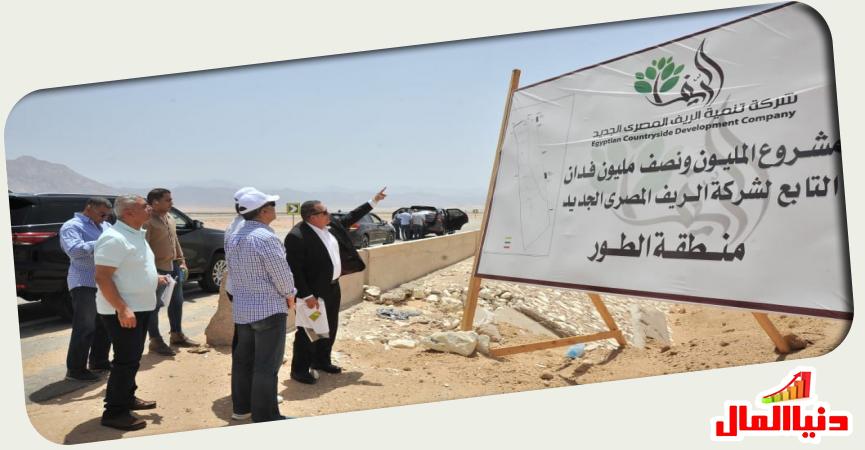 دنيا المال