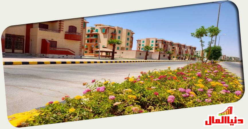 قنا الجديدة 