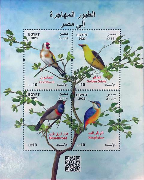 الهيئة القومية للبريد تصدر بطاقة تذكارية ترصد فيها ظاهرة ” الطيور المهاجرة”