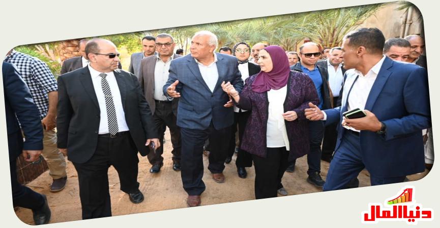 دنيا المال