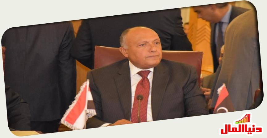 وزير الخارجية المصري 