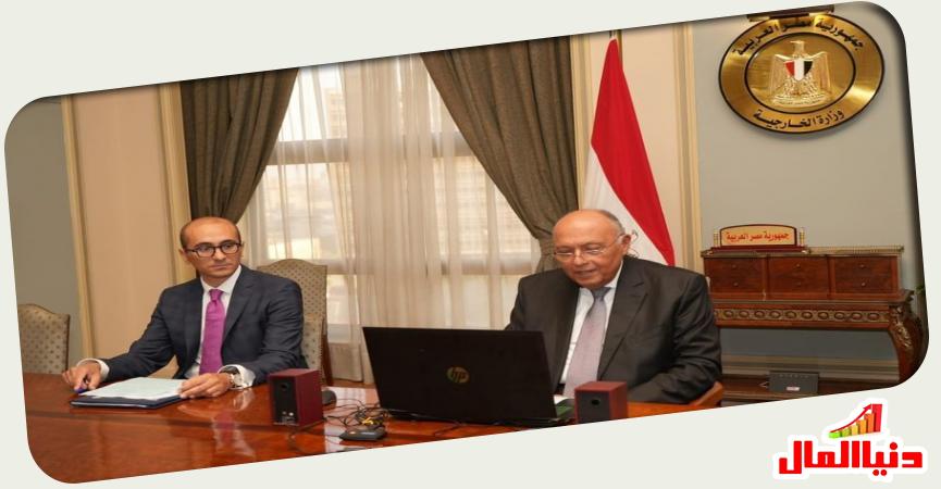 وزير الخارجية المصري