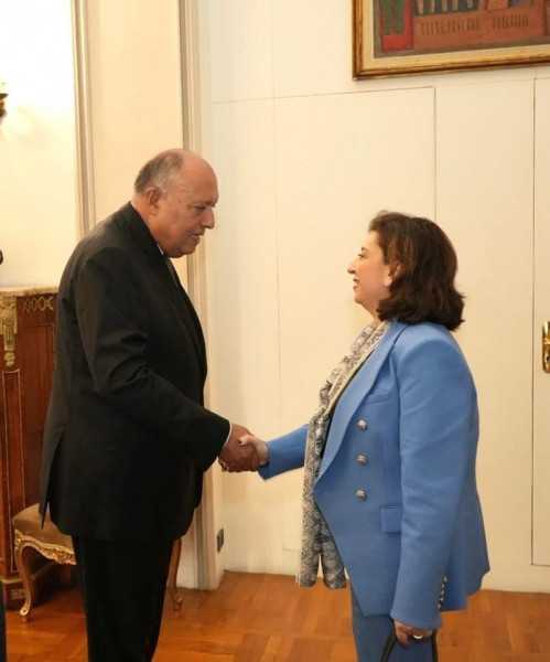 وزير الخارجية المصري يؤكد أن الانتهاكات التي تتعرض لها المرأة الفلسطينية في غزة ترقى لجرائم الحرب