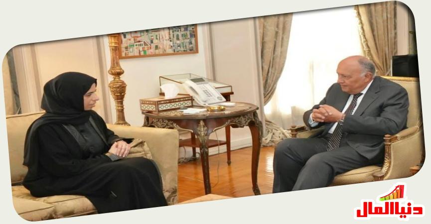وزير الخارجية المصري - وزيرة الدولة للتعاون الدولي القطرية