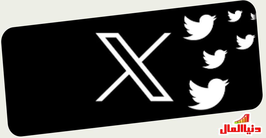 شركة X