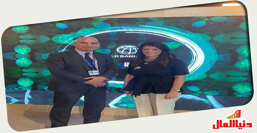 رانيا المشاط 