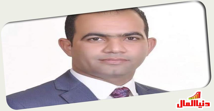 المهندس محمد سلامة