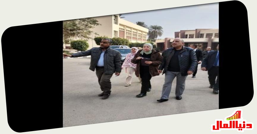 وزير قطاع الأعمال 