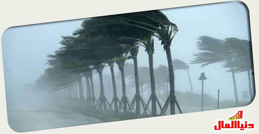 صورة أرشيفية أمطار ورياح 