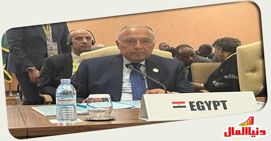 وزير الخارجية سامح شكري 