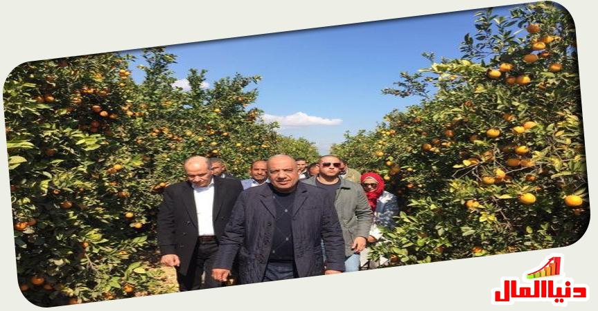 دنيا المال