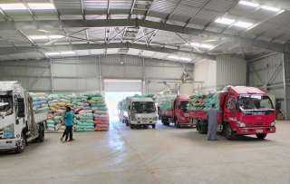 «البنك الزراعي المصري» يبدأ استلام محصول القمح من المزارعين والموردين في 190 موقع على مستوى الجمهورية