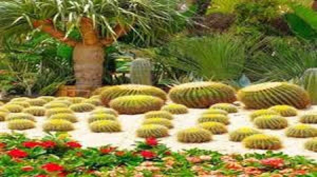علاء فاروق : 12 ابريل انطلاق معرض زهور الربيع في المتحف الزراعي بالدقي