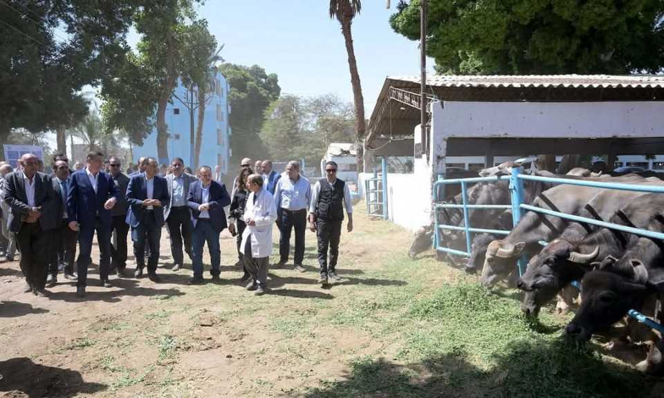 مدبولي يوجه بطرح محطات الثروة الحيوانية للقطاع الخاص لإدارتها وتشغيلها بكفاءة