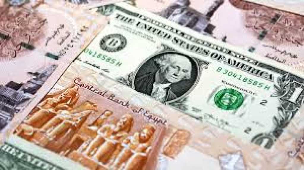سعر الدولار في البنك المركزي المصري  يسجل 51.70 جنيهًا للشراء، و51.41 جنيهًا للبيع