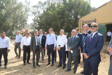 وزير الزراعة ومحافظ القاهرة يتفقدان محطة الزهراء للخيول العربية الأصيلة