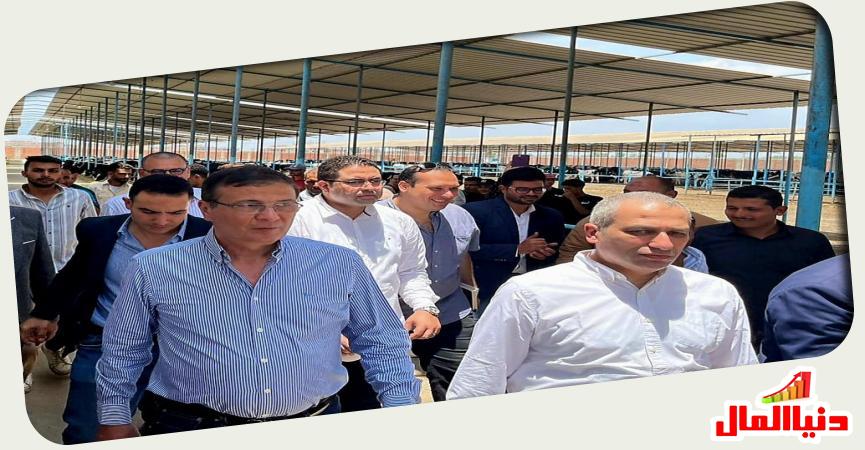 دنيا المال