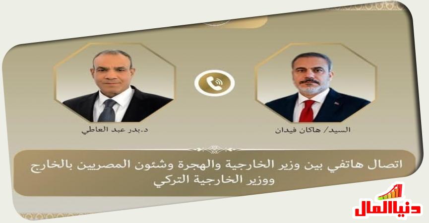 وزير الخارجية المصري ونظيره التركي 