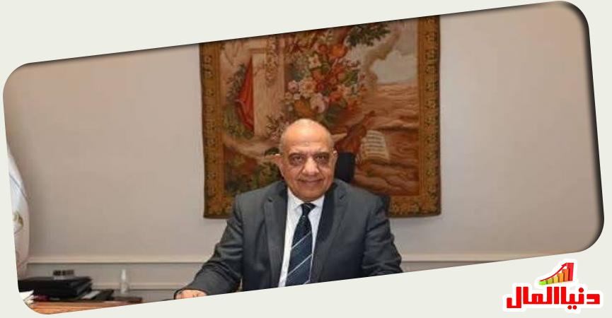 الدكتور محمود عصمت وزير الكهرباء والطاقة