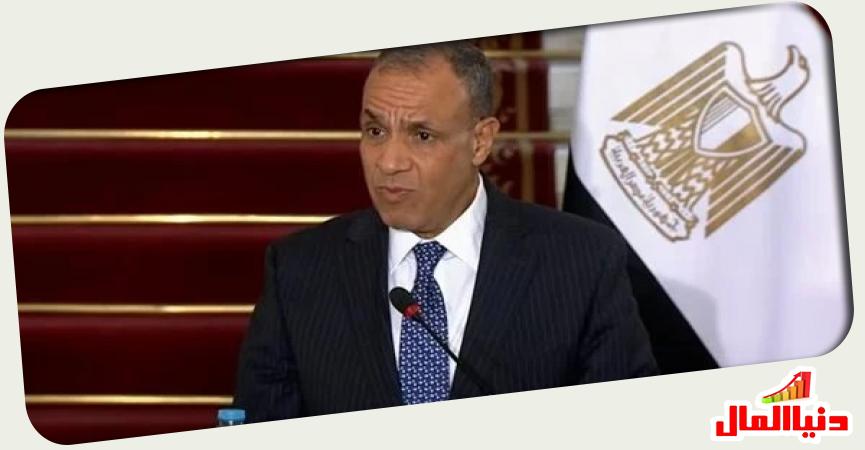 وزير  الخارجية المصري 