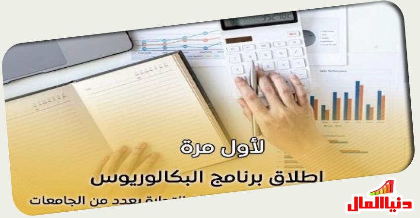 دنيا المال