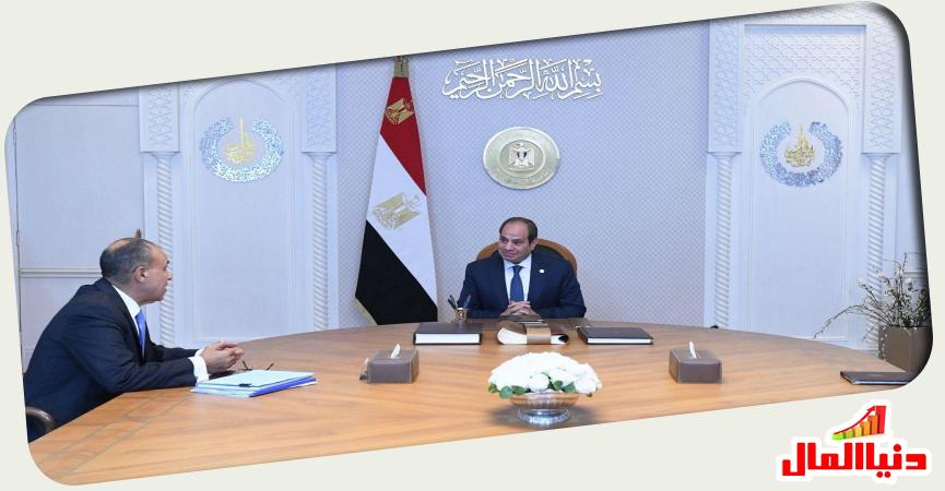 الرئيس السيسي - وزير الخارجية  