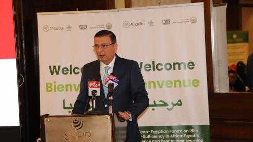 وزير الزراعة يفتتح فعاليات منتدى الأرز الأفريقي.. تحت شعار: الاكتفاء الذاتي من الأرز والتعلم المتبادل من تجربة مصر