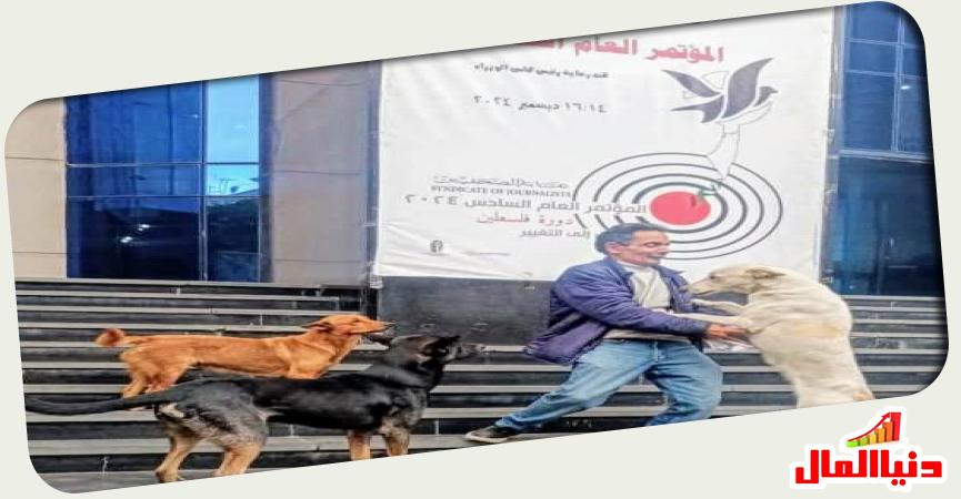 الكاتب الصحفي أشرف حمودة