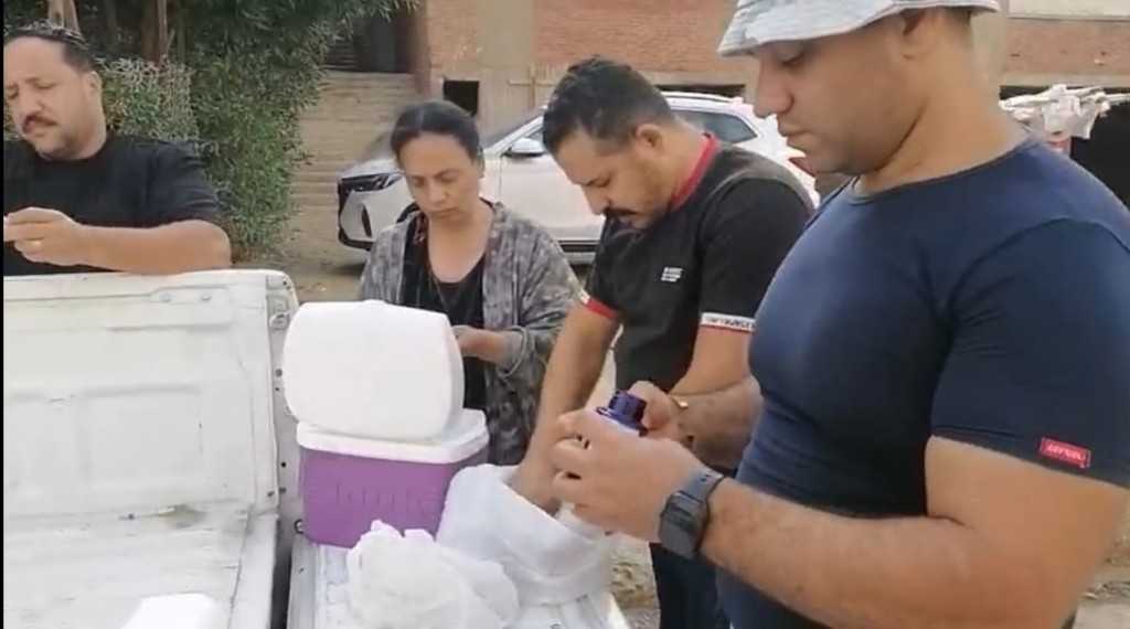 الطب البيطرى بمدينة أكتوبر يبدأ حملة تطعيم الكلاب الحرة