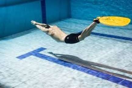 مصر تستضيف «بطولة العالم للسباحة بالزعانف» للجامعات 2026... مصر تستضيف «بطولة العالم للسباحة بالزعانف» للجامعات 2026 بمدينة شرم الشيخ