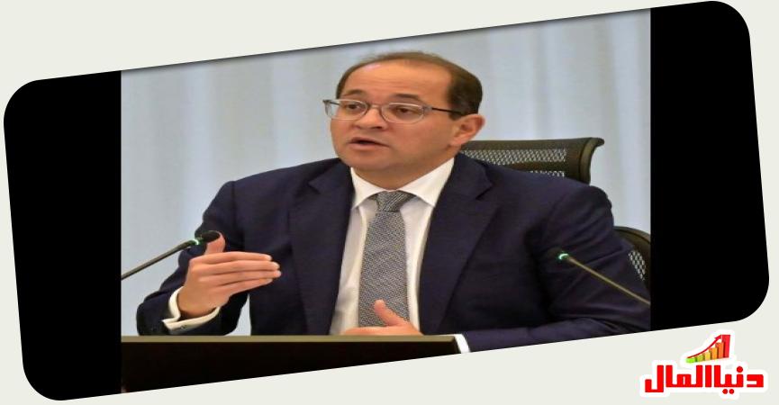 وزير المالية المصري 
