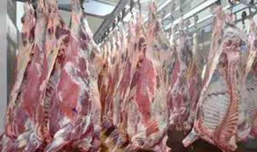 ضبط 30 طن  لحوم منتهية الصلاحية بالجيزة