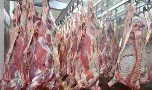 ضبط 30 طن لحوم منتهية الصلاحية بالجيزة ضبط 30 طن لحوم منتهية الصلاحية بالجيزة