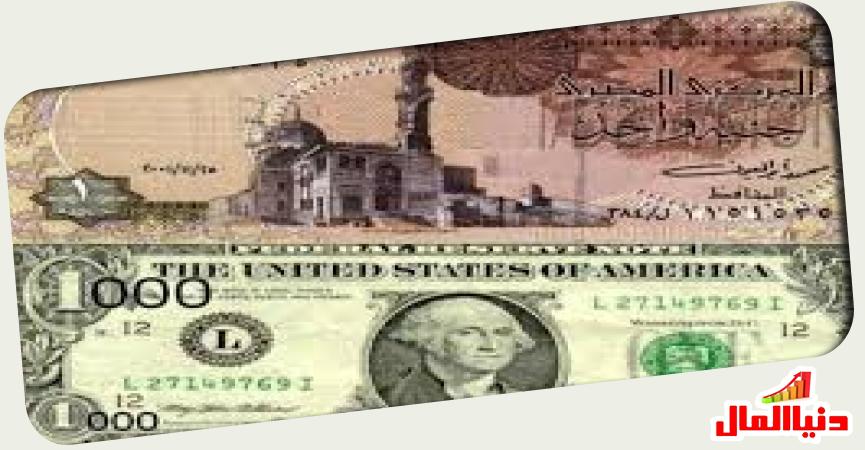 دولار - جنيه 